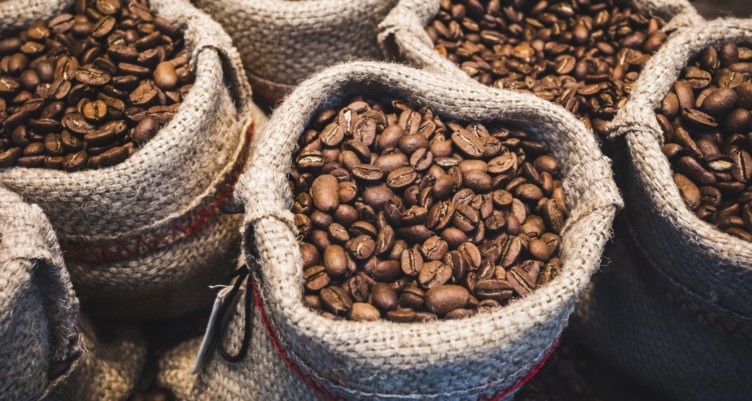 COFFEE ANATOMY 101: HOW ARE COFFEE BEANS MADE?