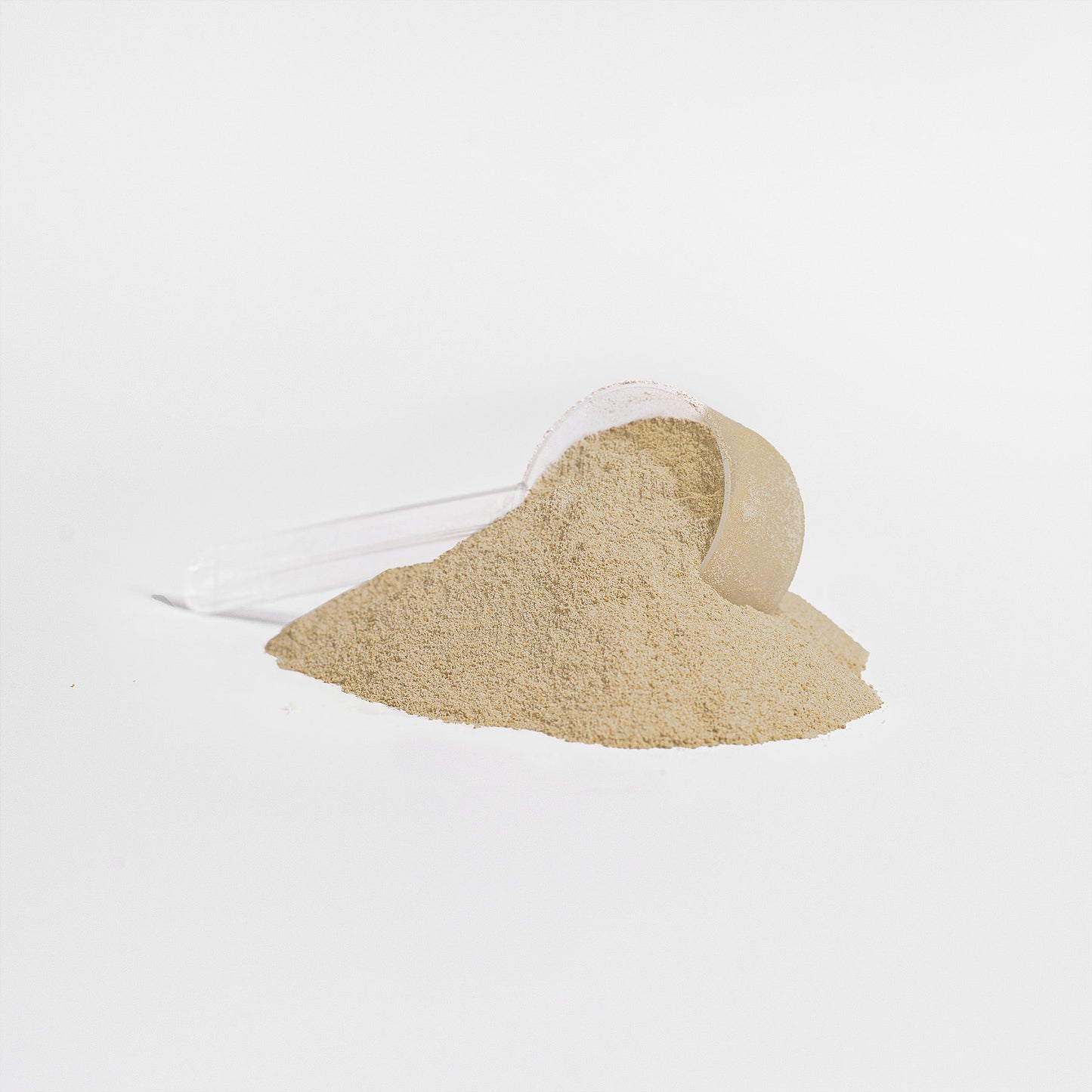 Warrior Nutrition 100% Whey Protein Isolate & MCT Oil (French Vanilla)