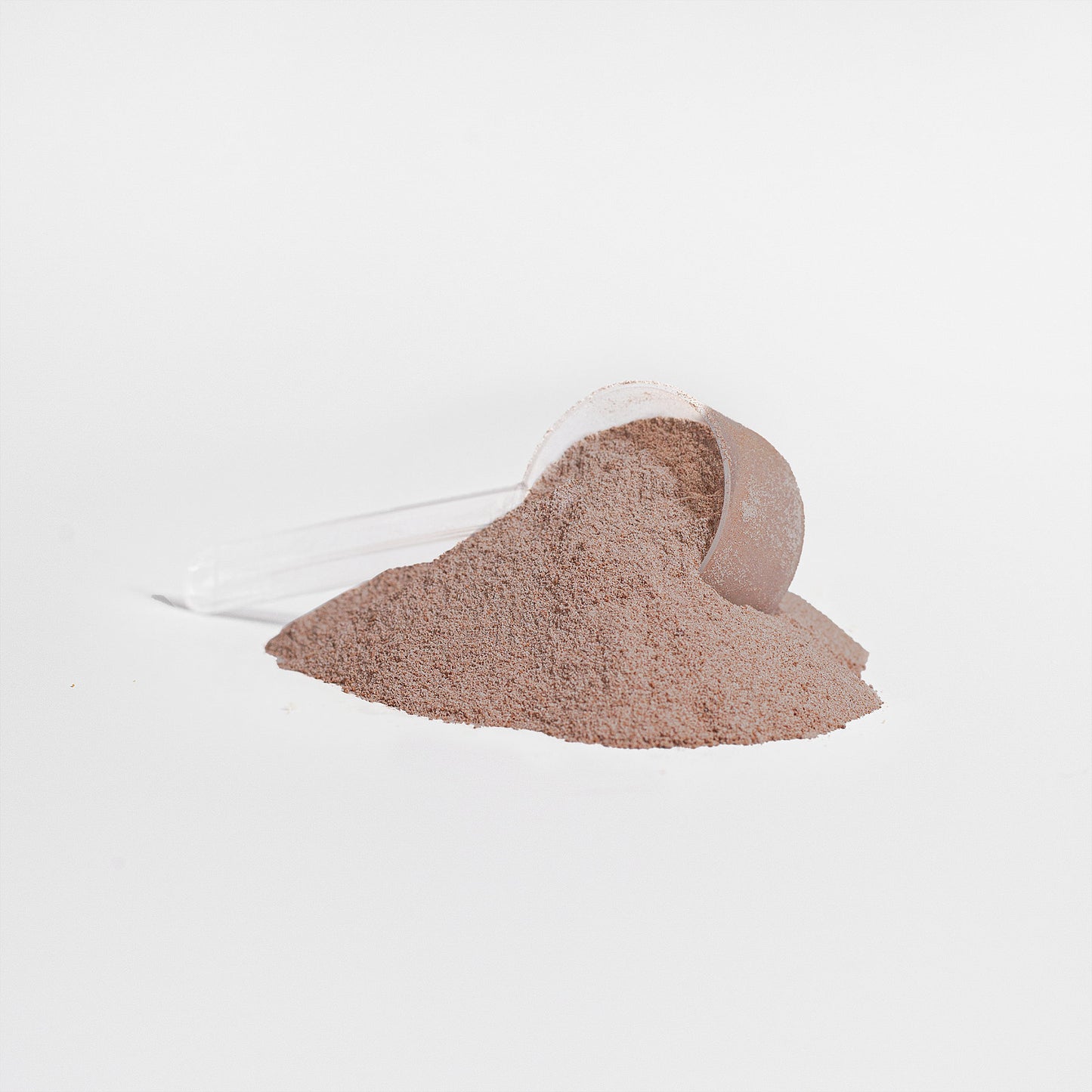 Warrior Nutrition 100% Whey Protein Isolate & MCT Oil (Rich Chocolate)