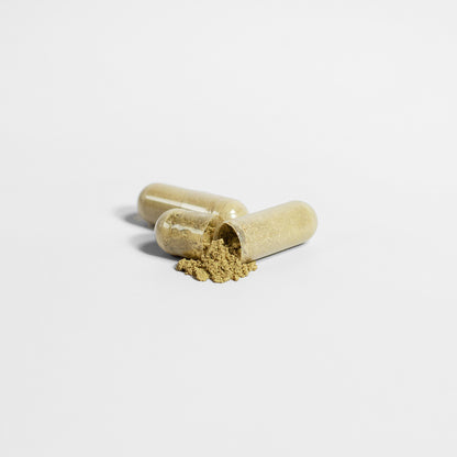 Ascended Pure Moringa